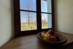 IMG_4719